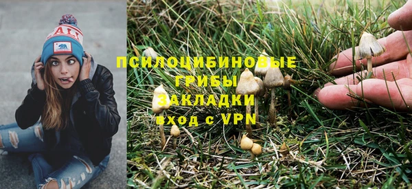 экстази Новодвинск