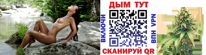 продажа наркотиков  ОМГ ОМГ онион  Бошки марихуана сатива  Солигалич 
